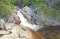 Gushing Waterfall